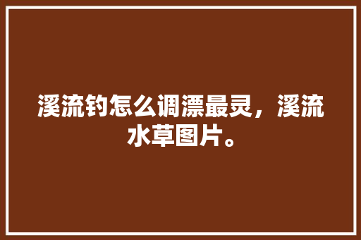 溪流钓怎么调漂最灵，溪流水草图片。