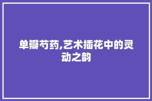 单瓣芍药,艺术插花中的灵动之韵