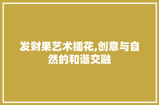 发财果艺术插花,创意与自然的和谐交融