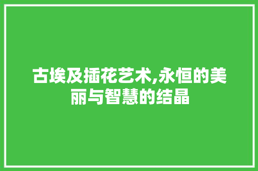 古埃及插花艺术,永恒的美丽与智慧的结晶
