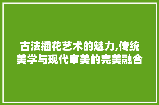 古法插花艺术的魅力,传统美学与现代审美的完美融合