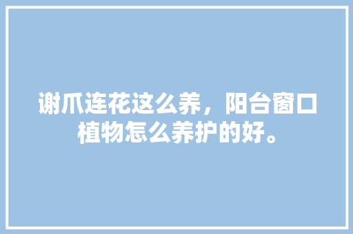 谢爪连花这么养，阳台窗口植物怎么养护的好。