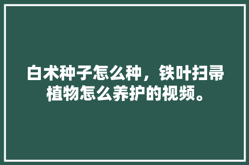 白术种子怎么种，铁叶扫帚植物怎么养护的视频。