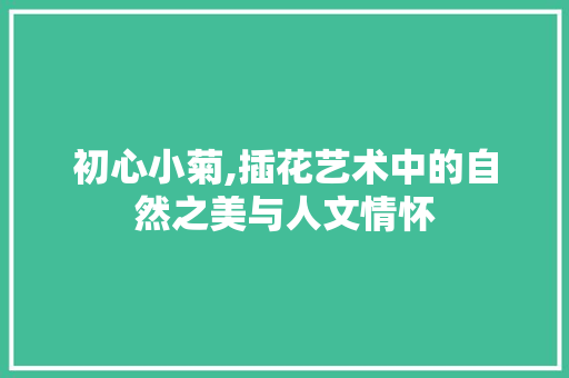 初心小菊,插花艺术中的自然之美与人文情怀