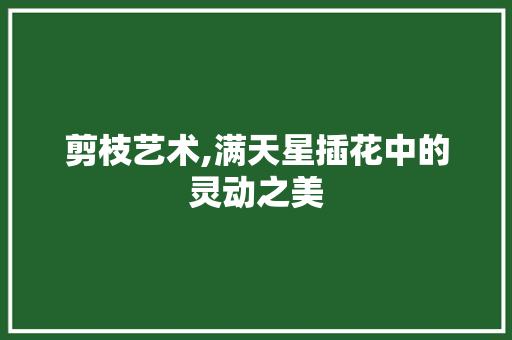 剪枝艺术,满天星插花中的灵动之美