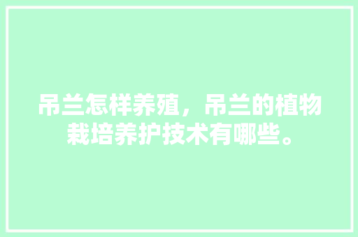 吊兰怎样养殖，吊兰的植物栽培养护技术有哪些。  第1张 吊兰怎样养殖，吊兰的植物栽培养护技术有哪些。 养护技巧