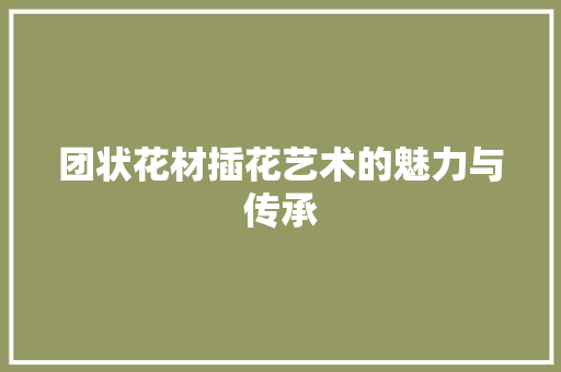 团状花材插花艺术的魅力与传承 养护技巧