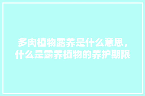 多肉植物露养是什么意思，什么是露养植物的养护期限。  第1张 多肉植物露养是什么意思，什么是露养植物的养护期限。 施肥方法