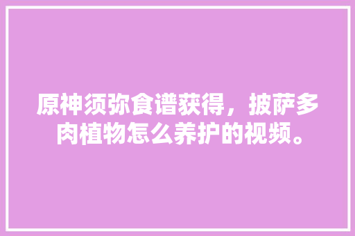 原神须弥食谱获得，披萨多肉植物怎么养护的视频。