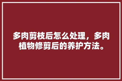 多肉剪枝后怎么处理，多肉植物修剪后的养护方法。