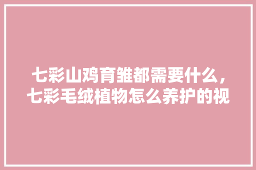七彩山鸡育雏都需要什么，七彩毛绒植物怎么养护的视频。