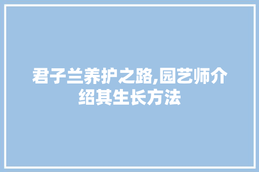君子兰养护之路,园艺师介绍其生长方法