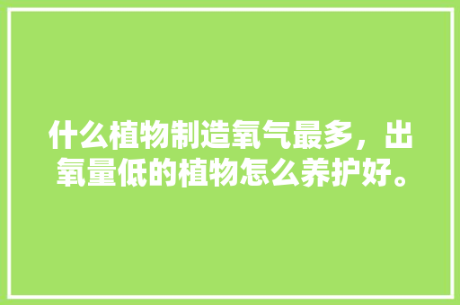 什么植物制造氧气最多，出氧量低的植物怎么养护好。