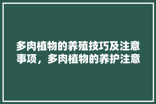 多肉植物的养殖技巧及注意事项，多肉植物的养护注意事项有哪些。  第1张 多肉植物的养殖技巧及注意事项，多肉植物的养护注意事项有哪些。 灌溉方法