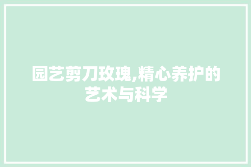 园艺剪刀玫瑰,精心养护的艺术与科学