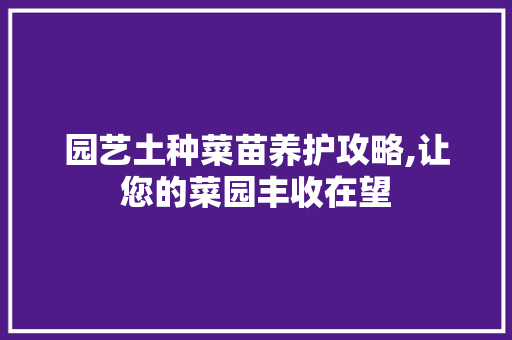 园艺土种菜苗养护攻略,让您的菜园丰收在望