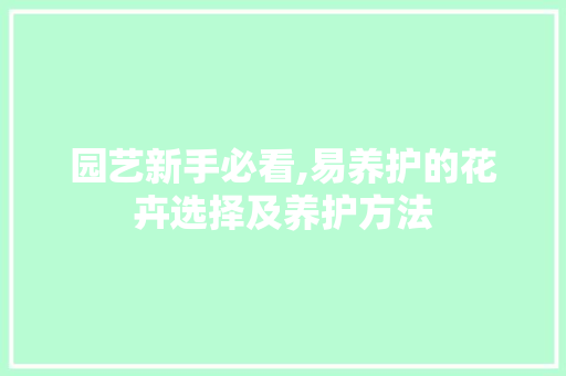 园艺新手必看,易养护的花卉选择及养护方法