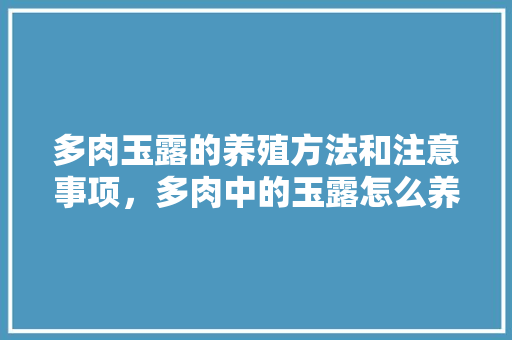 多肉玉露的养殖方法和注意事项，多肉中的玉露怎么养。