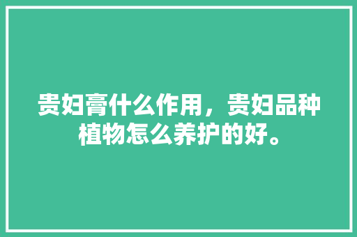 贵妇膏什么作用，贵妇品种植物怎么养护的好。