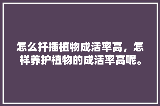 怎么扦插植物成活率高，怎样养护植物的成活率高呢。