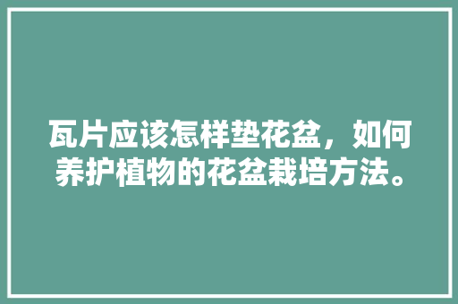 瓦片应该怎样垫花盆，如何养护植物的花盆栽培方法。