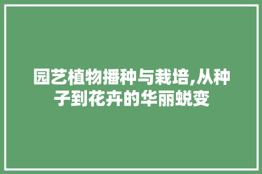 园艺植物播种与栽培,从种子到花卉的华丽蜕变