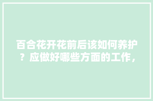 百合花开花前后该如何养护？应做好哪些方面的工作，开花的植物养护注意事项有哪些。
