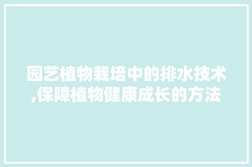 园艺植物栽培中的排水技术,保障植物健康成长的方法