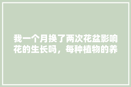 我一个月换了两次花盆影响花的生长吗，每种植物的养护都不一样吗。