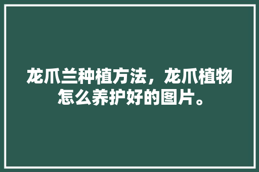 龙爪兰种植方法，龙爪植物怎么养护好的图片。