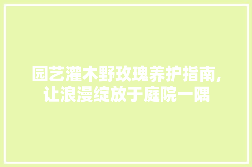 园艺灌木野玫瑰养护指南,让浪漫绽放于庭院一隅 植物分类