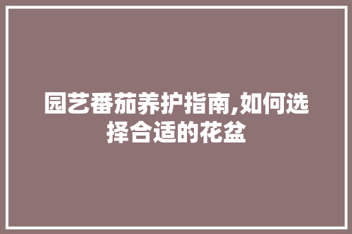 园艺番茄养护指南,如何选择合适的花盆