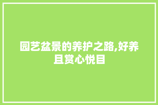 园艺盆景的养护之路,好养且赏心悦目
