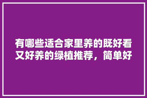 有哪些适合家里养的既好看又好养的绿植推荐，简单好养护的植物图片大全。