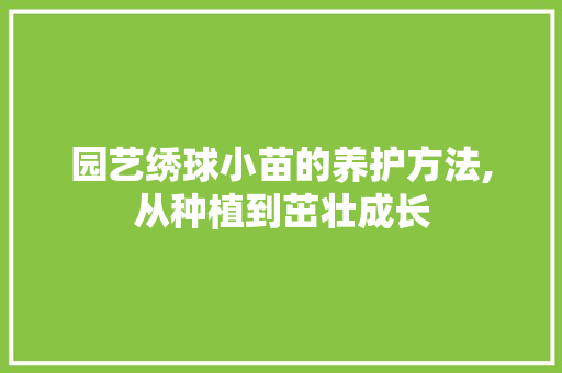 园艺绣球小苗的养护方法,从种植到茁壮成长