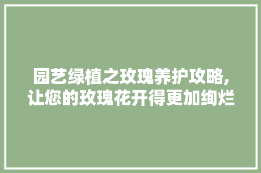 园艺绿植之玫瑰养护攻略,让您的玫瑰花开得更加绚烂