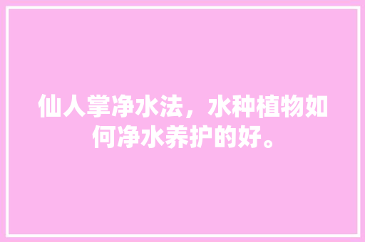 仙人掌净水法，水种植物如何净水养护的好。  第1张 仙人掌净水法，水种植物如何净水养护的好。 树木