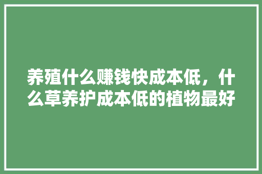 养殖什么赚钱快成本低，什么草养护成本低的植物最好。