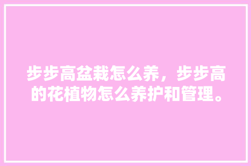 步步高盆栽怎么养，步步高的花植物怎么养护和管理。