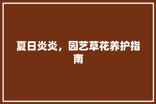 夏日炎炎，园艺草花养护指南