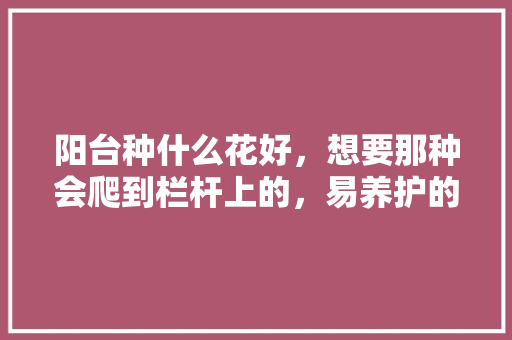 阳台种什么花好，想要那种会爬到栏杆上的，易养护的阳台植物有哪些图片。