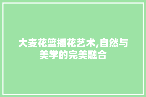 大麦花篮插花艺术,自然与美学的完美融合