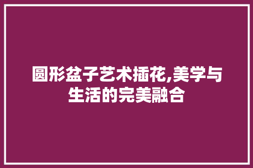 圆形盆子艺术插花,美学与生活的完美融合