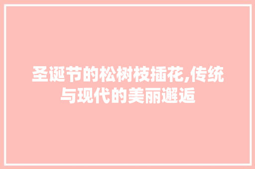 圣诞节的松树枝插花,传统与现代的美丽邂逅
