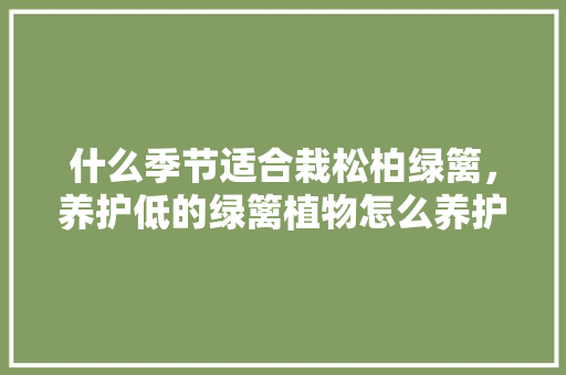 什么季节适合栽松柏绿篱，养护低的绿篱植物怎么养护。