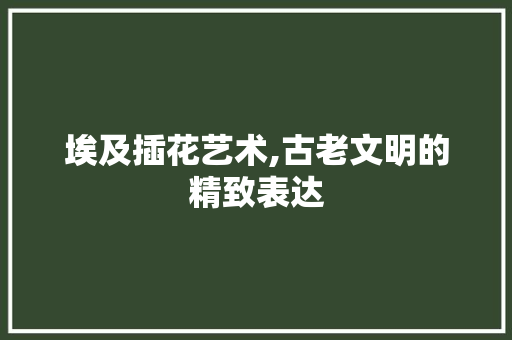 埃及插花艺术,古老文明的精致表达