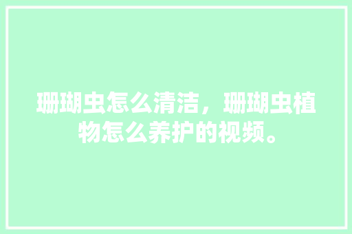 珊瑚虫怎么清洁，珊瑚虫植物怎么养护的视频。