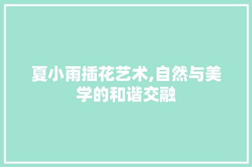 夏小雨插花艺术,自然与美学的和谐交融