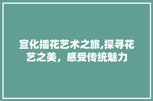 宣化插花艺术之旅,探寻花艺之美，感受传统魅力