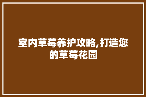 室内草莓养护攻略,打造您的草莓花园